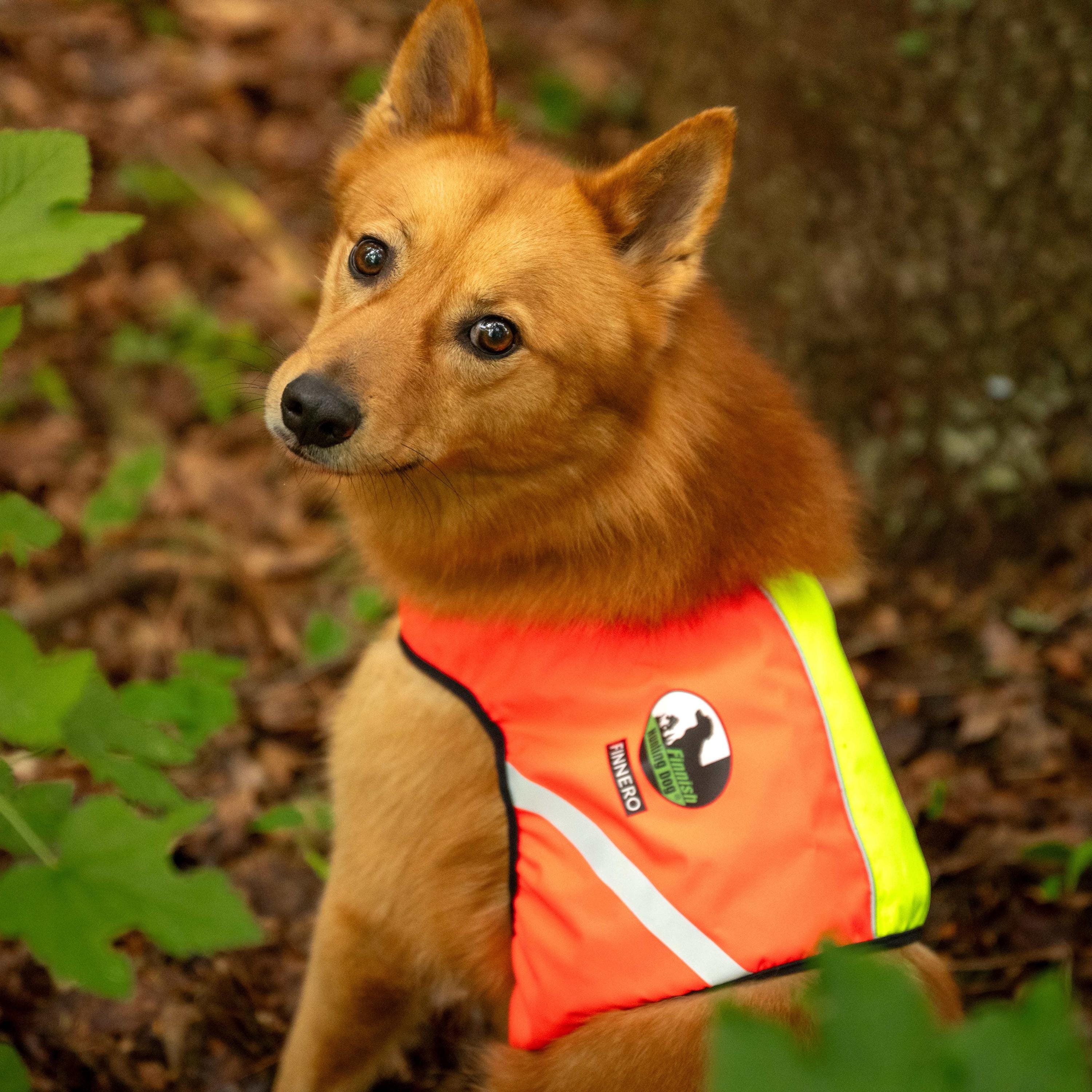 Dog Signal - Etsy