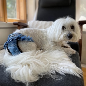 Washable Dog Diaper Etsy Ireland