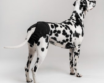 Washable Wrap-Around Dog Diaper for Female Dogs – Dog Incontinence & Hygiene Pants | FINNERO BRAVA Black