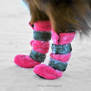 Op de afbeelding: Een hond draagt roze en grijze winterlaarzen met een pluche voering. De laarzen zijn ontworpen om poten warm en droog te houden in besneeuwde omstandigheden.  @Maija Maatta-novaystella