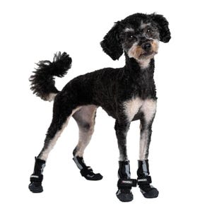 Könnte beinhalten: Ein schwarz-weißer Hund, der vier schwarze Hundestiefel mit reflektierenden grauen Akzenten trägt. Auf den Stiefeln ist der Markenname "FINNERO" auf den Riemen aufgedruckt. Der Hund hat schwarzes, lockiges Fell und steht vor weißem Hintergrund.