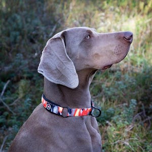 Martingale Camouflage Dog Collar, No Pull Training Collar with Soft Neoprene Padding - FINNERO CAMOCOLOR