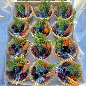 Power Morning fire starters for Fireplace | Soy wax| Fire Starters| Campfire| Gift fire starters|Christmas| Wedding| Halloween| Pack of 12
