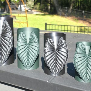 May include: Four cylindrical containers arranged in a row, alternating between matte black and metallic green finishes. Each container features a prominent, raised, heart-shaped leaf relief on the front, matching the color of the cylinder.