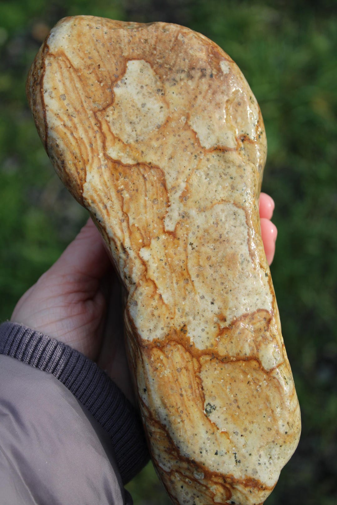 PNW Rhyolite ROUGH | 1502 Grams | 3.31lbs - Etsy