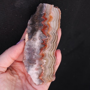 Mexican Crazy Lace Agate | Unpolished Slab | 70 Grams