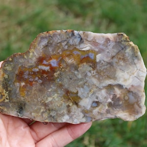 Coprolite Unpolished Slab from Utah | 138 Grams