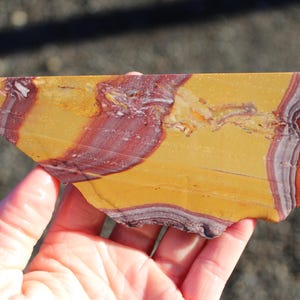 May include: A hand holds a polished stone slab. The stone features a striking pattern of yellow, burgundy, and white bands. The colors and patterns create a unique, natural aesthetic. The stone's shape is irregular, with a rough edge.
