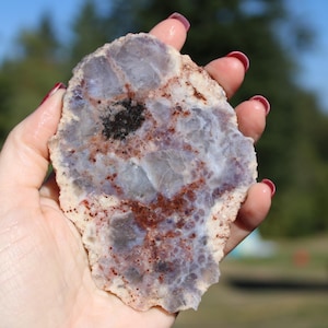 May include: A hand holds a polished, irregularly shaped stone. The stone features a mix of colors, including lavender, white, and reddish-brown, with a dark, almost black, central area. The stone's surface has a textured appearance, suggesting a natural origin.
