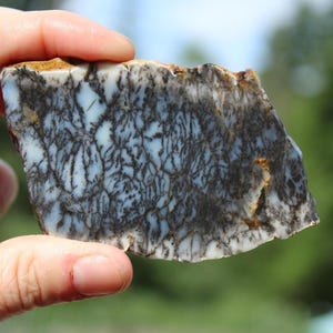 Unpolished Dendritic Opal Slab | 44 Grams | From Australia.