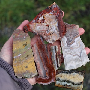 May include: A hand holds several polished agate slices. The stones display a variety of colors, including red, brown, yellow, and white, with intricate patterns and banding. The natural gemstones are irregularly shaped.