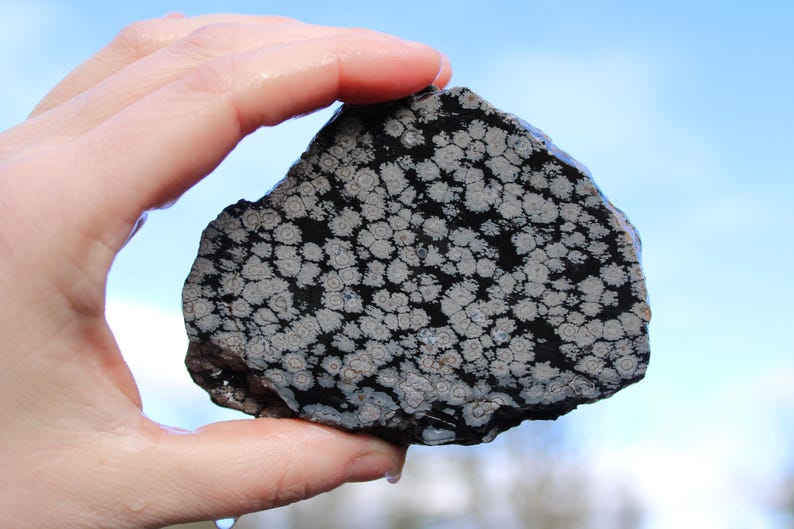Snowflake Obsidian Pattern THICK Snowflake Obsidian Unpolished Slab | 224 Grams - Etsy