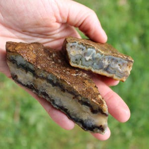 May include: Two pieces of a cut rock with a layered pattern. The outer layer is brown, while the inner layers display bands of black, white, and blue. The rock is held in a hand against a blurred green background.