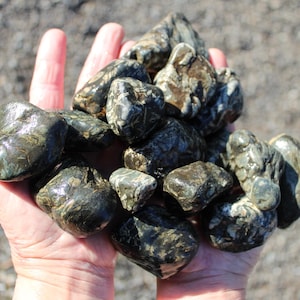 May include: A handful of smooth, dark green and gray stones. The stones have a polished appearance, reflecting light. The collection of stones varies in size and shape, with a natural, organic aesthetic. The stones are held in an open hand.
