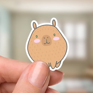 Capybara Sticker / Chunky Tier Sticker / Chunkymals Collection