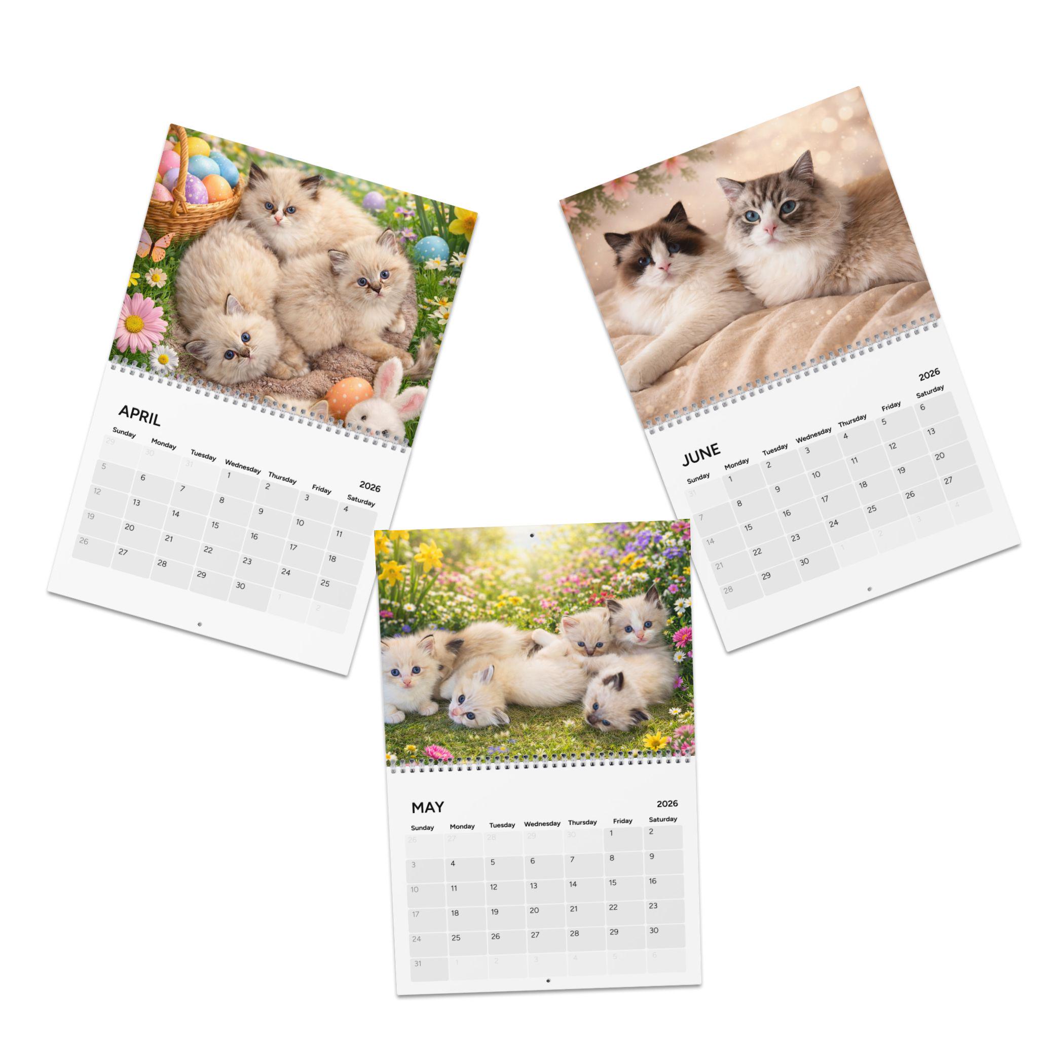 Cat Calendar 2026 | Ragdoll Cat Wall Calendar, Cute Cat Calendar. 12 ...