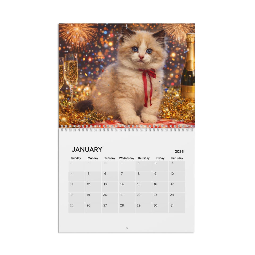 Cat Calendar 2026 | Ragdoll Cat Wall Calendar, Cute Cat Calendar. 12 ...