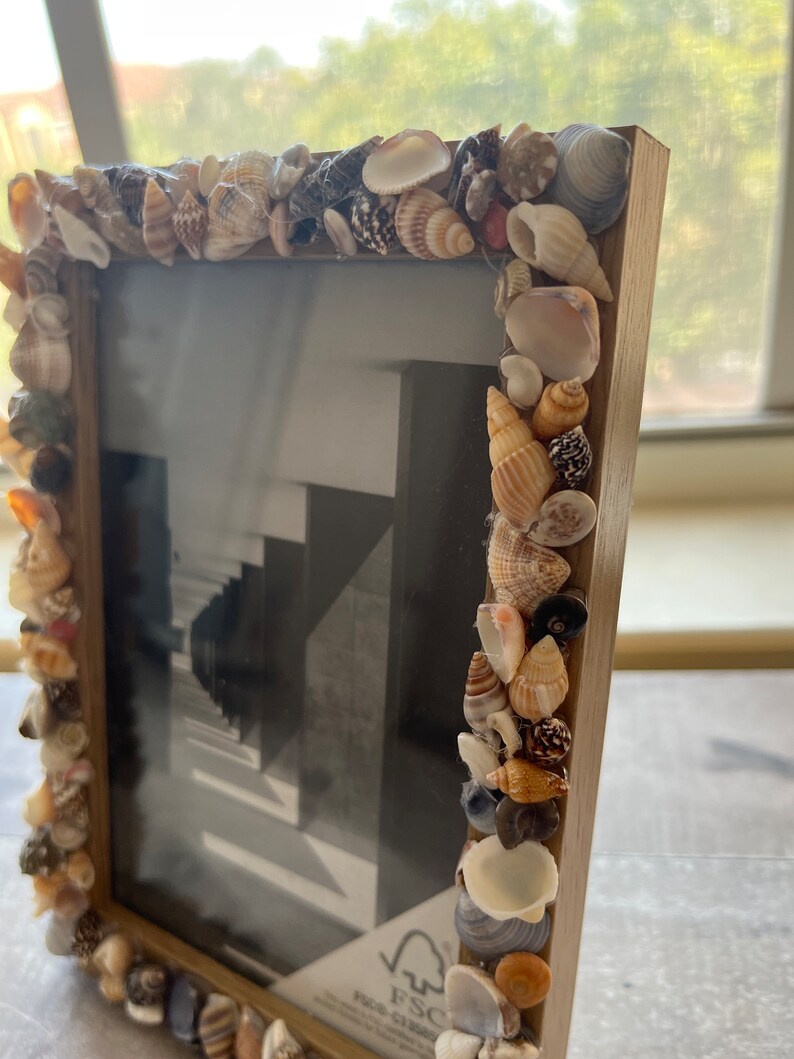 4x6 Tiny Seashell Frame Beach Decor Coastal Etsy