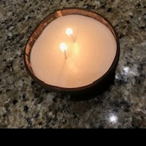 Coconut Bowl, Coconut Shell, 2 Wick Soy Wax Candle image 7