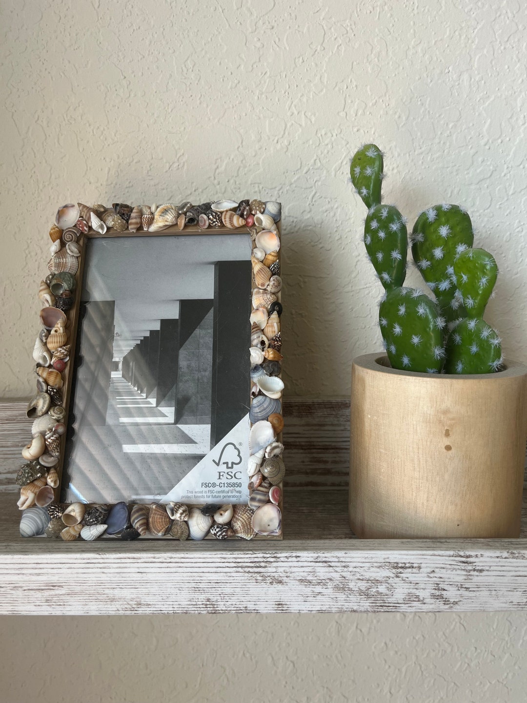 4x6 Tiny Seashell Frame Beach Decor Coastal Etsy