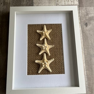 Seestern, 20 x 30 cm Seestern (Reihe von 3) im Schattenkasten-Rahmen mit Sackleinen-Hintergrund, Küsten-, Strand-Wand-Kunst, Hauptdekor