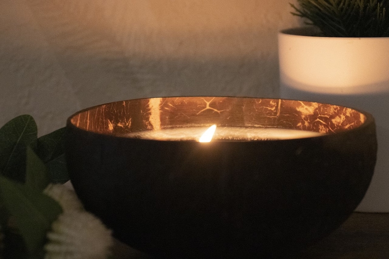 Coconut Bowl, Coconut Shell, 2 Wick Soy Wax Candle image 4