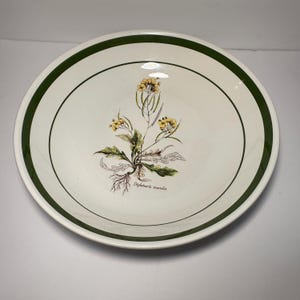 Italian La Primula Pottery Pasta Serving Bowl - Diolotaxis Muralis Plant Center Graphic w/ Green Rim Stripe -13 3/8” Dia x 3 1/8” High -Chip