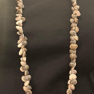 Handcrafted Polished Spiral Snail Shell 20&quot; Long Necklace