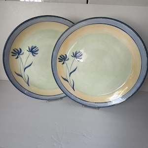 May include: Two ceramic plates with a floral design. Each plate features a light blue rim, a yellow band, and a pale green center. Blue flowers with thin stems are painted on the plates.