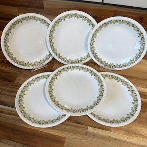 1970s Corning Corelle Spring Blossom Set of Six 6 3/4” Bread & Butter Plates - Corelle Livingware