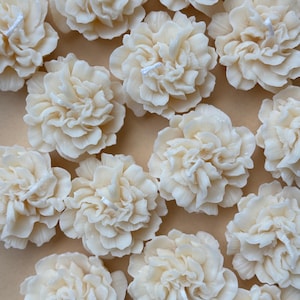 Handgemaakte sojakaars anjer: bloemen woondecoratie