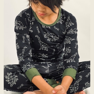 Onyx Fossil Fusion Boys Bamboo Sleepwear Set Dinosaur Bamboo Set
