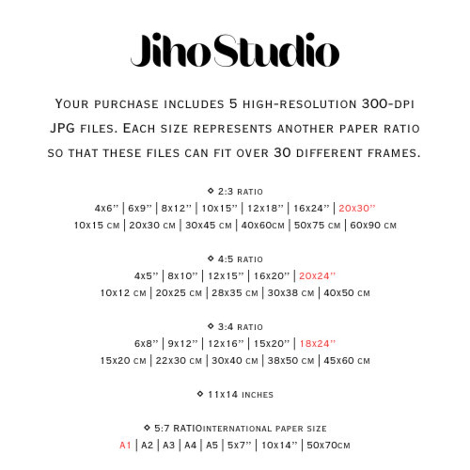 Black and White Daisy Wall Art, Flower Garden Wall Decor, Daisy