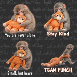 Puede incluir: Impresión de arte digital con cuatro paneles. Un mono gris abraza a un mono de peluche naranja. Textos: "You are never alone", "Stay Kind", "Small, but brave" y "TEAM PUNCH". El fondo es gris oscuro.