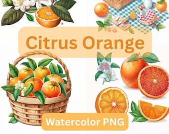 Citrus Orange Watercolor PNG, Vibrant Orange Definition, Orange Tree, Orange Blossom, Orange Juice