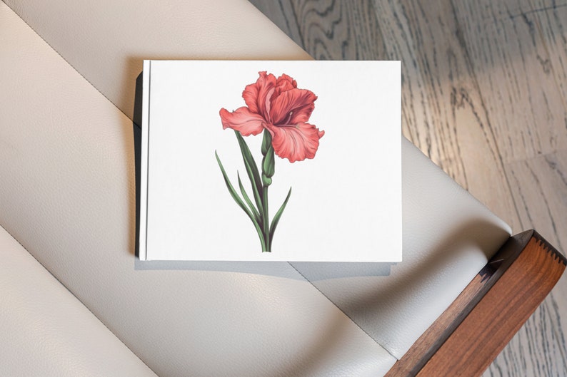 May include: A white book with a watercolor illustration of a coral-colored iris flower. The flower has ruffled petals and green leaves and stem. The book is on a light gray leather chair with a wooden arm.