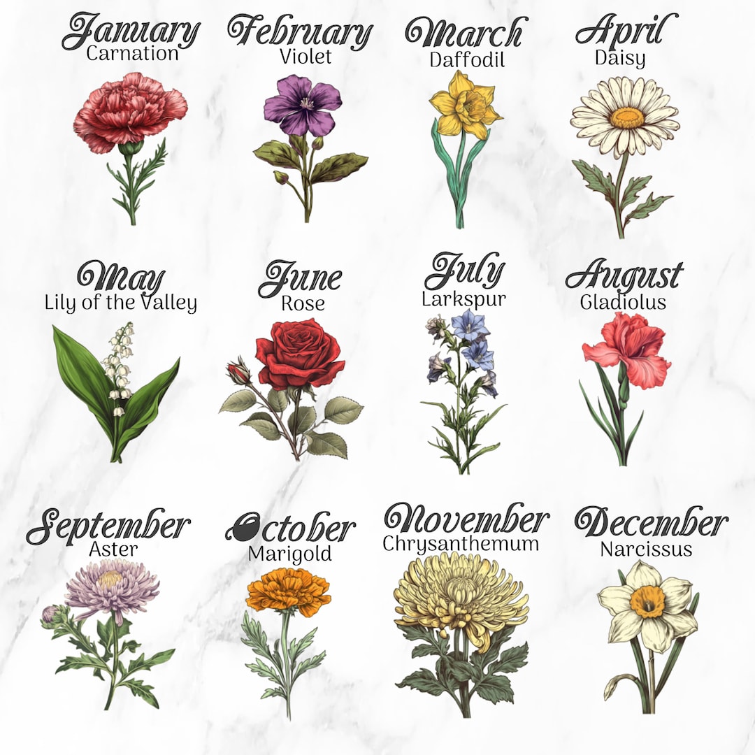 Buy Birth Month Flowers Clipart Birthday Flowers PNG