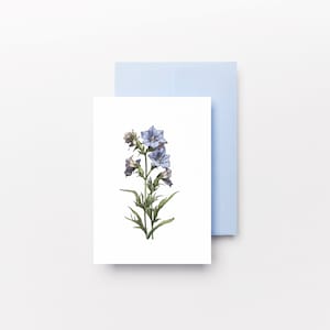 May include: A greeting card with a botanical illustration of blue flowers and green leaves. The card is white, with a light blue envelope behind it. The illustration is detailed, with shading and color variations.