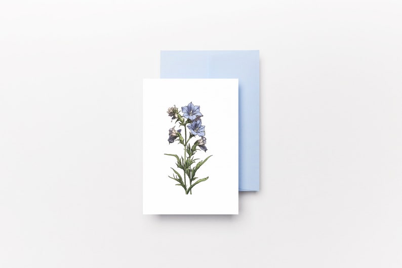 May include: A greeting card with a botanical illustration of blue flowers and green leaves. The card is white, with a light blue envelope behind it. The illustration is detailed, with shading and color variations.