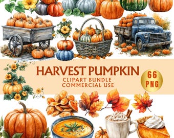Ambiente acogedor de granja: Colección de calabazas de otoño, paquete de imágenes prediseñadas PNG instantáneas