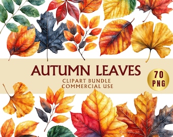 Colorful Autumn Leaves Clipart Bundle: DIY Fall Decor (PNG Download)