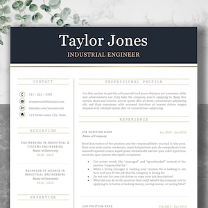 resume template clean sleek modern pdf microsoft word apple paes download professional