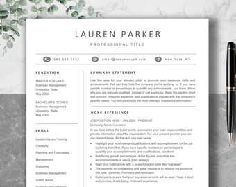 Clean Modern Resume Template for Word & Pages