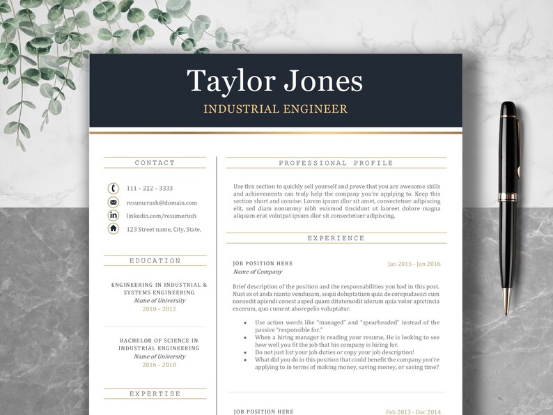 resume template clean sleek modern pdf microsoft word apple paes download professional