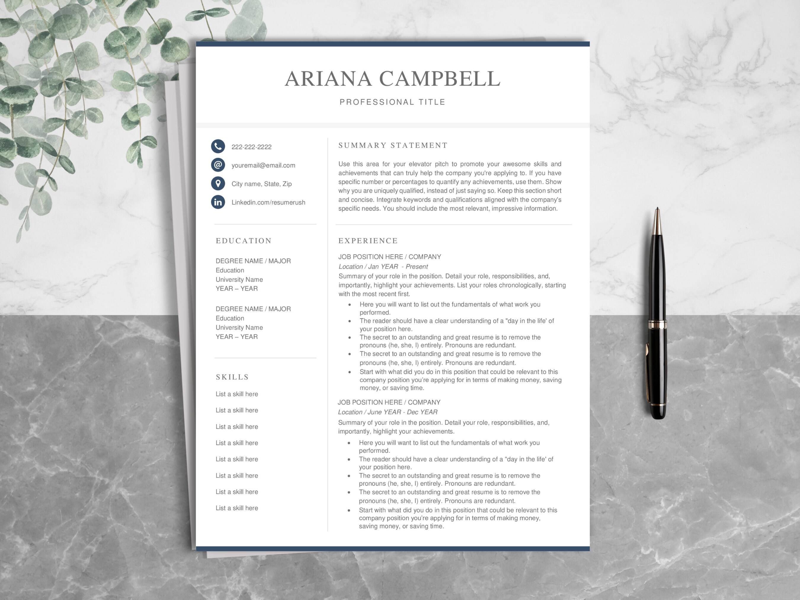 Professional Resume Template for Microsoft Word & Pages, Business ...