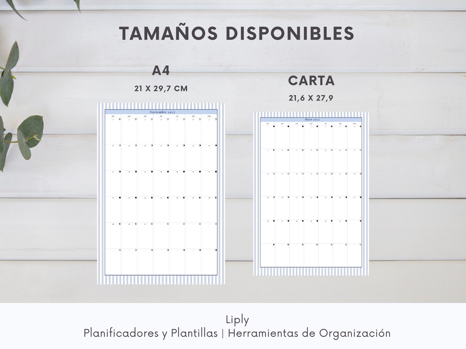 2025 Calendar, Calendar 2025 Spanish, Printable Spanish Calendar, 2025 ...