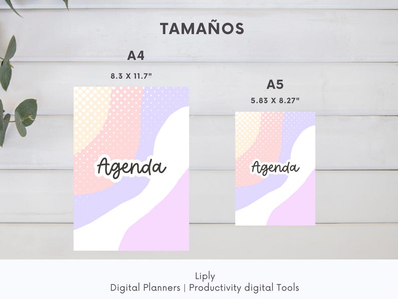 Agenda Perpetua Imprimible, Agenda A4 Sin Fechas, PDF Para Organización ...
