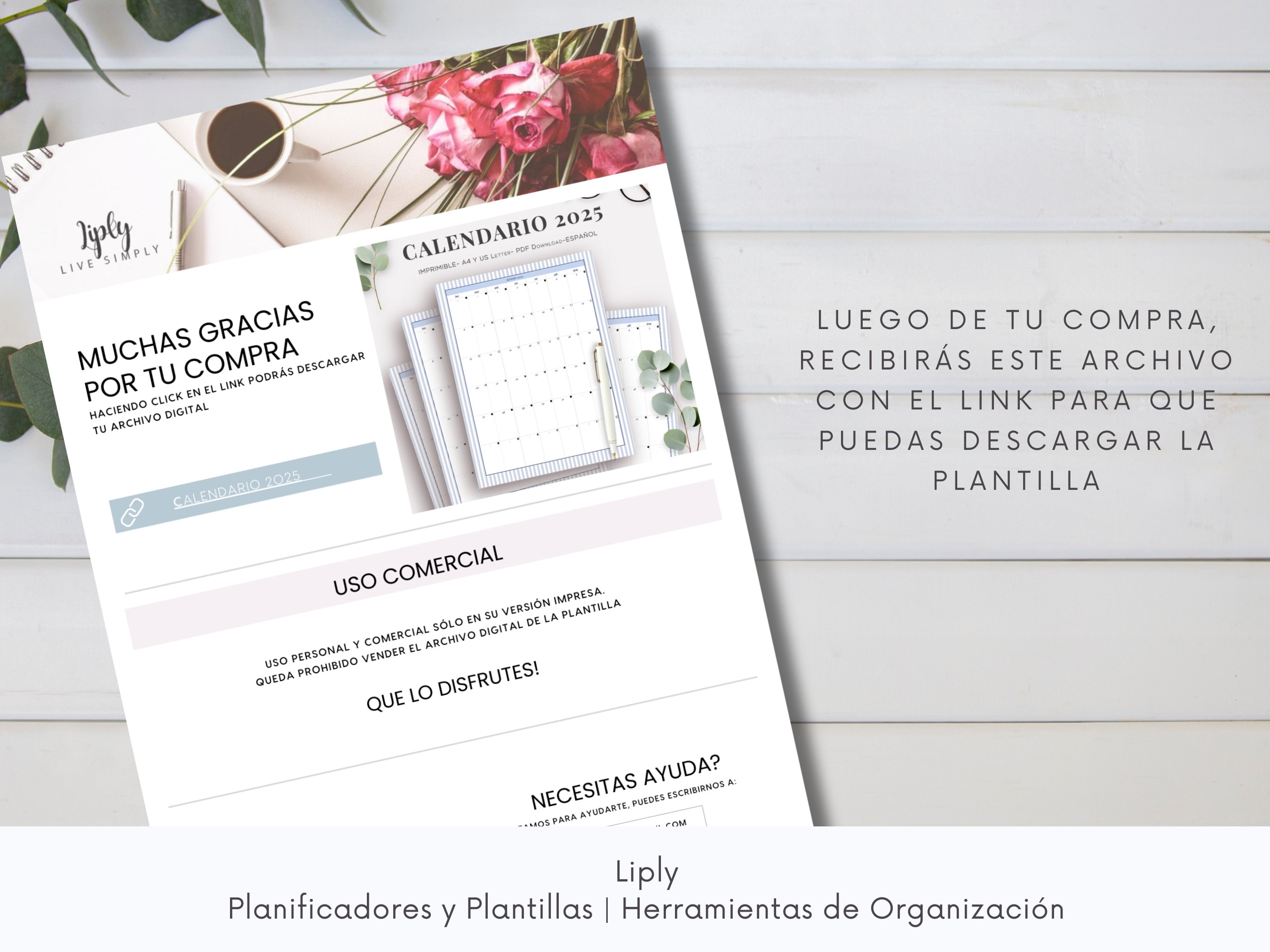 2025 Calendar Calendar 2025 Spanish Printable Spanish Calendar 2025