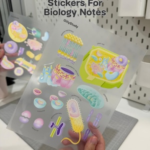 Op de afbeelding: Een doorschijnend stickervel met kleurrijke illustraties van biologische celstructuren, waaronder een plasmamembraan, plantencel, endoplasmatisch reticulum, prokaryotische cel, chloroplast, lysosoom en ribosoom, met de tekst GillyStudy.