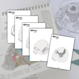 Libro sobre capas de células animales de GillyStudy imagen 4